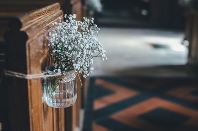 玻璃花瓶上的白色花瓣花
